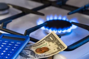 5 Claves para Ahorrar en tu Consumo de Gas LP